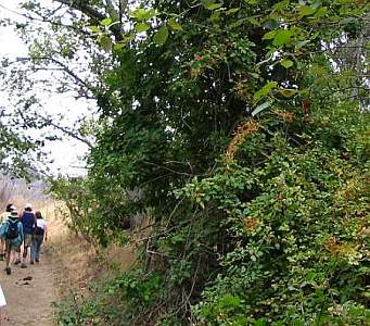 North end of creek trail