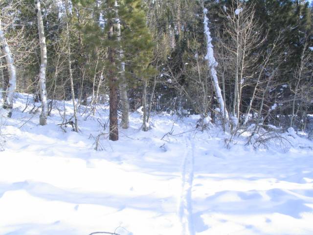 ../Images/IMG_2027b.JPG
