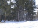 Thumbs/tn_IMG_2024f.jpg