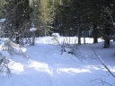 Thumbs/tn_IMG_2025b.jpg