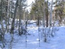 Thumbs/tn_IMG_2026f.jpg