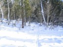 Thumbs/tn_IMG_2027b.jpg
