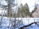 Thumbs/tn_IMG_2028f.jpg