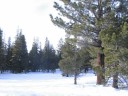Thumbs/tn_IMG_2029f.jpg