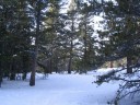 Thumbs/tn_IMG_2030f.jpg
