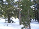 Thumbs/tn_IMG_2031f.jpg
