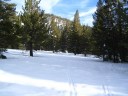 Thumbs/tn_IMG_2033b.jpg
