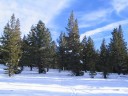 Thumbs/tn_IMG_2036b.jpg