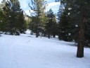 Thumbs/tn_IMG_2038b.jpg