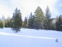 Thumbs/tn_IMG_2041b.jpg