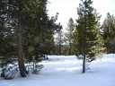 Thumbs/tn_Img_2034.jpg