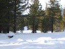 Thumbs/tn_Img_2035.jpg