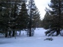 Thumbs/tn_Img_2037.jpg