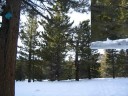 Thumbs/tn_Img_2039.jpg