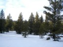 Thumbs/tn_Img_2040.jpg