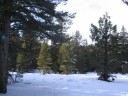 Thumbs/tn_Img_2042.jpg