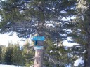 Thumbs/tn_Img_2043.jpg