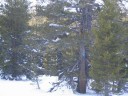 Thumbs/tn_Img_2044.jpg