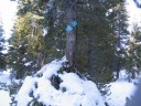 Thumbs/tn_Img_2047.jpg