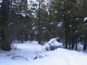 Thumbs/tn_Img_2049.jpg