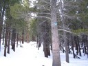 Thumbs/tn_Img_2052.jpg